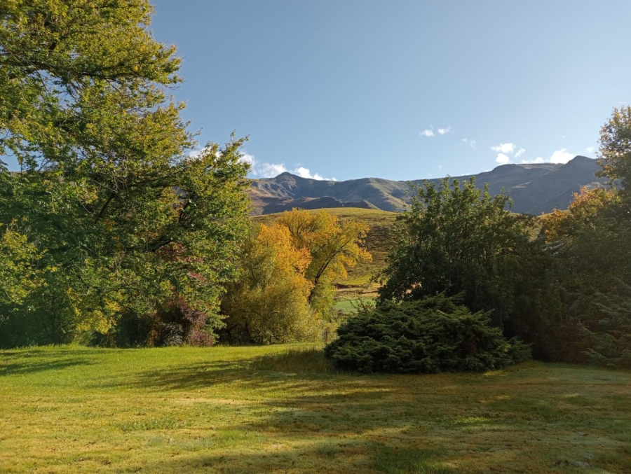 0 Bedroom Property for Sale in Barkly East Rural Eastern Cape